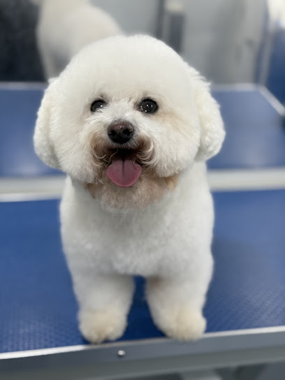 Grubby Puppies Mobile Dog Grooming