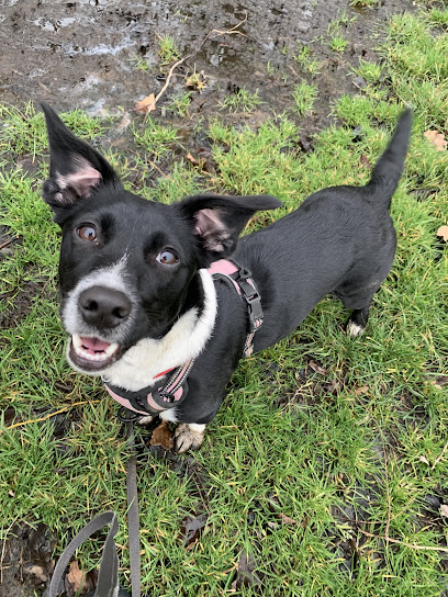 Fur The Love Pet Services