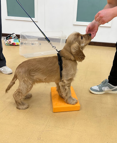 Henry&me Dog Training & Grooming