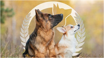 Dog Training Elite New Mexico