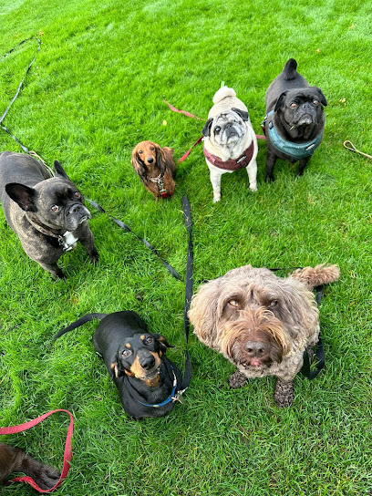 Paws to Parks - Pet Shop in Portsmouth