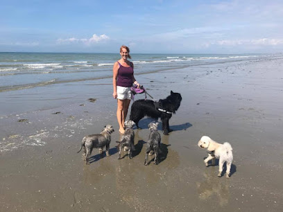 Coastal K9S Dog Exercise, Pet Sitting and Boarding