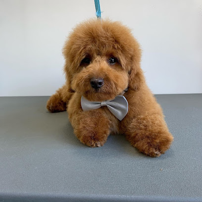 Pippa paws dog grooming - Pet Shop in Milton Keynes