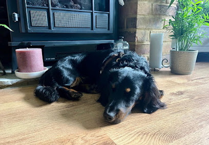 The Dachsie Hotel - Pet Shop in Milton Keynes