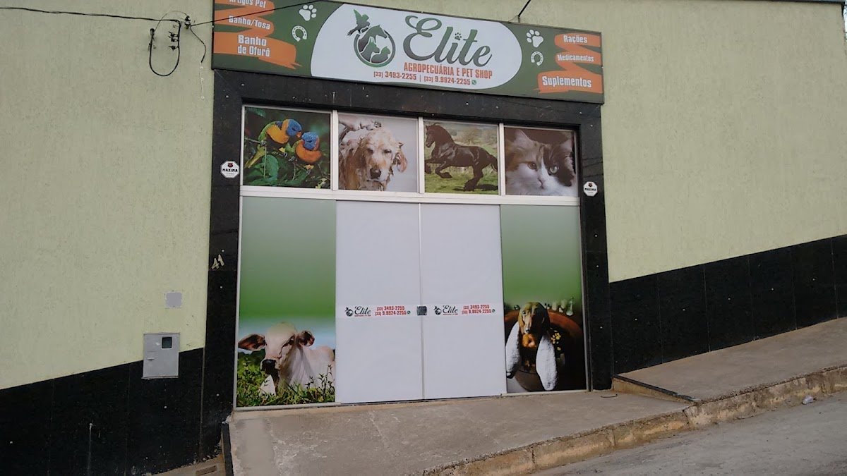 AGROPECUÁRIA E PET SHOP PINTINHO - Caratinga