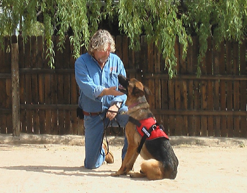 Tucson K-9 Learning Center - Photo 2