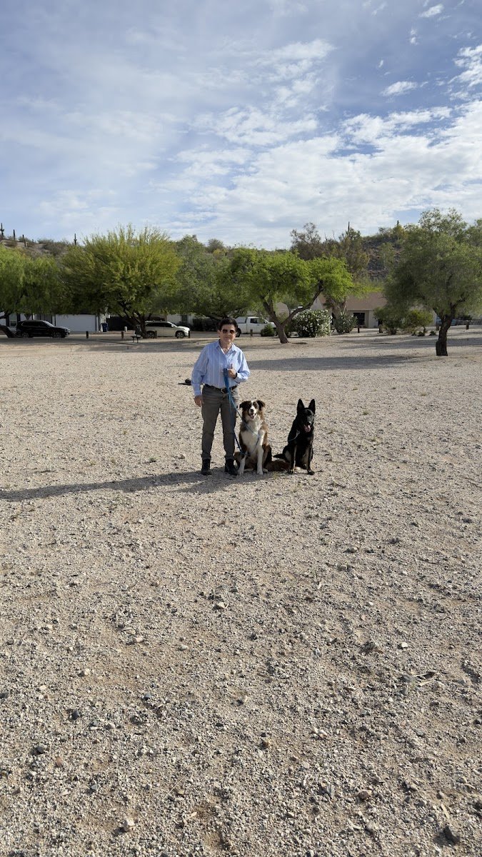 Garvin's Divine Dog Training - Photo 3
