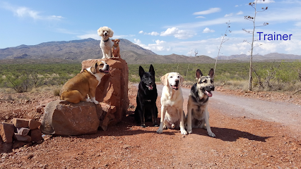 Garvin's Divine Dog Training