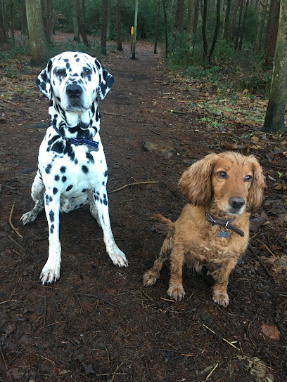 Woof&Whiskers Pet Services - Pet Shop in Milton Keynes