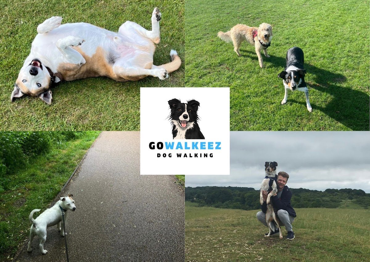 Go walkeez - Photo 2