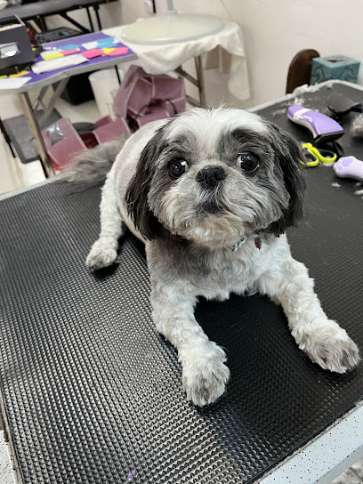 Broadway Grooming Tucson LLC