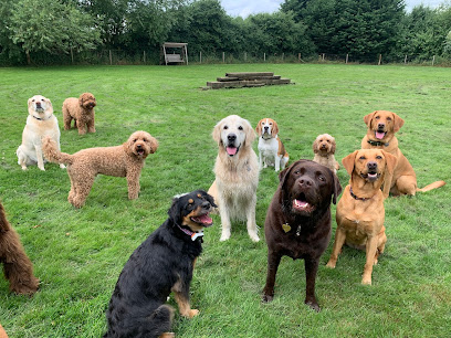 Woof Dog co - Dog Walking & Adventure Days - Pet Shop in Milton Keynes
