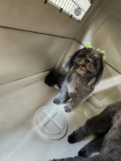 PUPPY BATH PET GROOMING