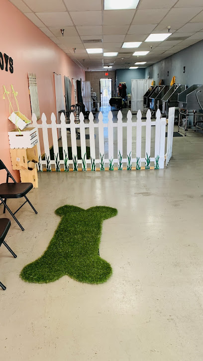 Filthy Paws - Pet Shop in Tucson