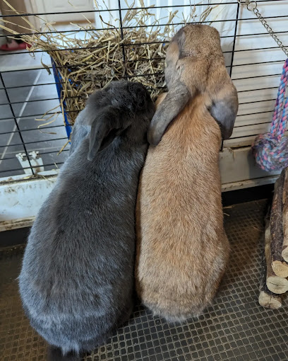 A Pet's Tale - Pet Shop in Milton Keynes