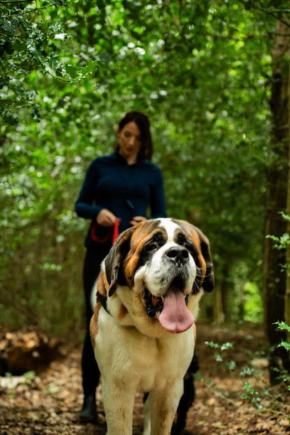Wagging Tails Bedfordshire - Pet Shop in Milton Keynes