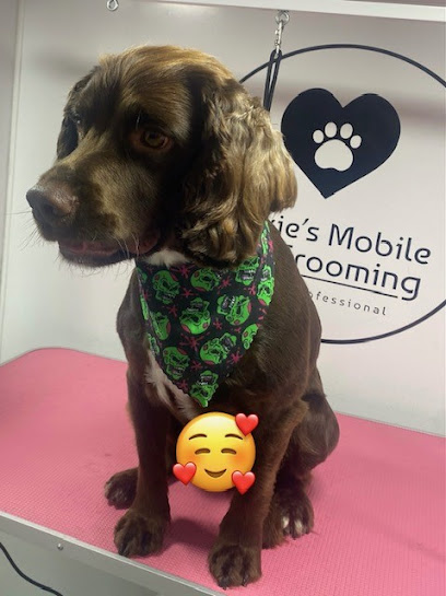 Beckie's Mobile Dog Grooming - Pet Shop in Milton Keynes