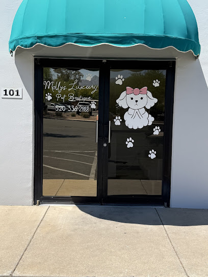 Molly’s Luxury Pet Grooming In Tucson