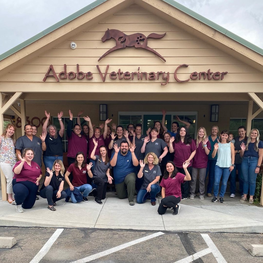 Adobe Veterinary Center - Photo 2
