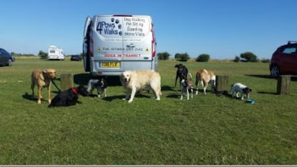 4 Paws Walks