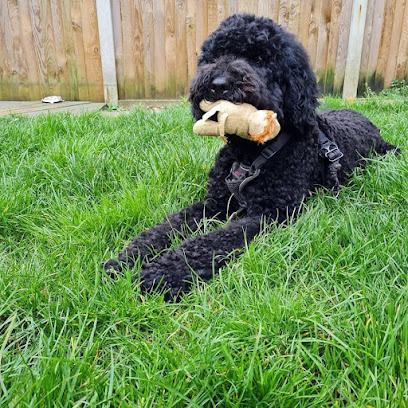 Pristine Pooches Dog Grooming & Home Dog Boarding