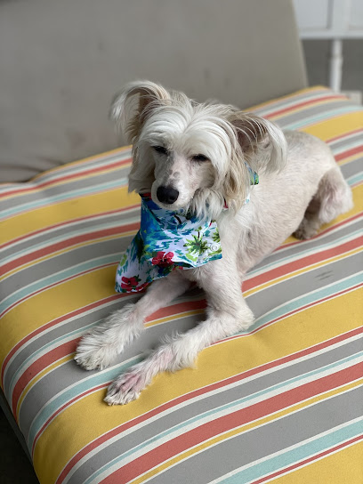 Minerva's Pet Grooming and Boarding