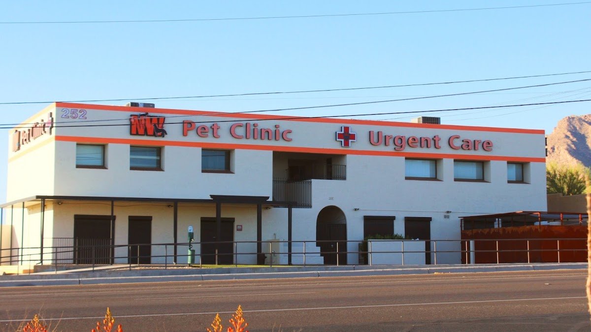VCA Northwest Animal Hospital - Ina Road - Photo 4