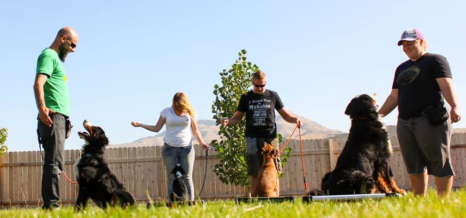 K9 Guidance to Inclusion - Photo 2