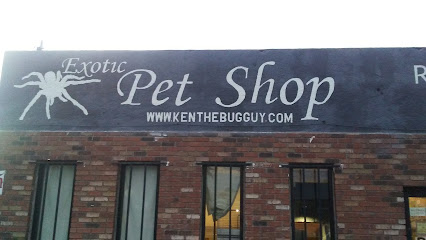 An Exotic Reptile Pet Shop