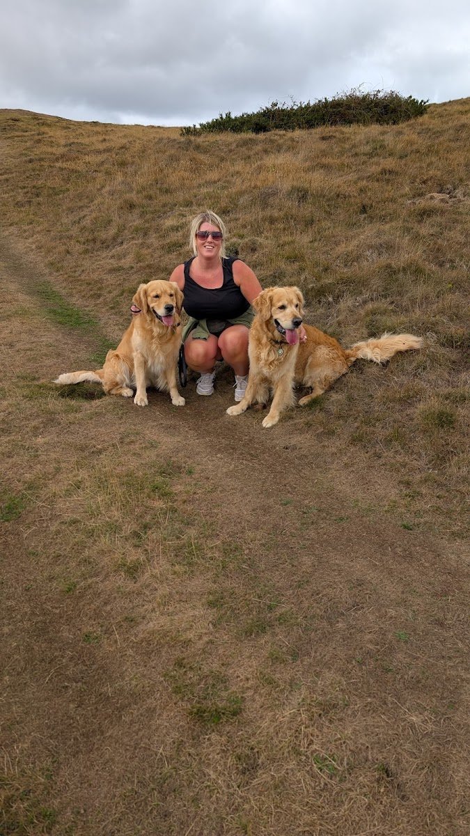 Wellies & Paws - Photo 2