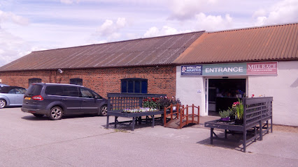 Swallow Aquatics East Harling