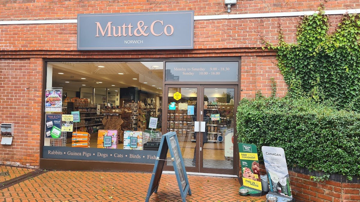 Mutt & Co - Photo 2