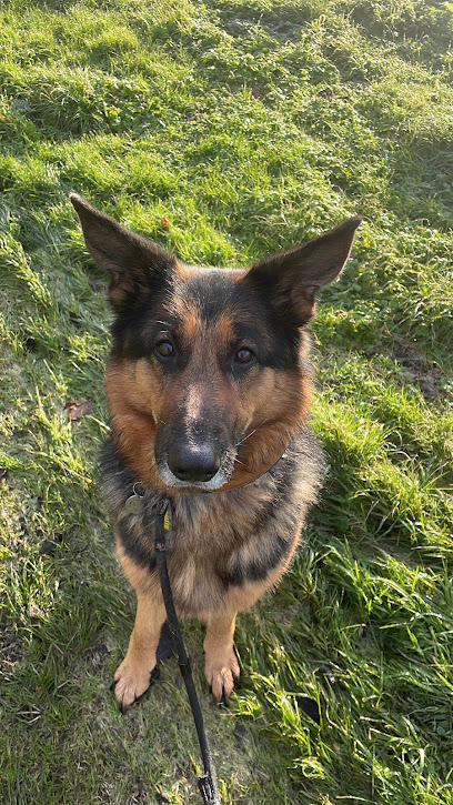 Evergreen Boarding Kennels and Cattery