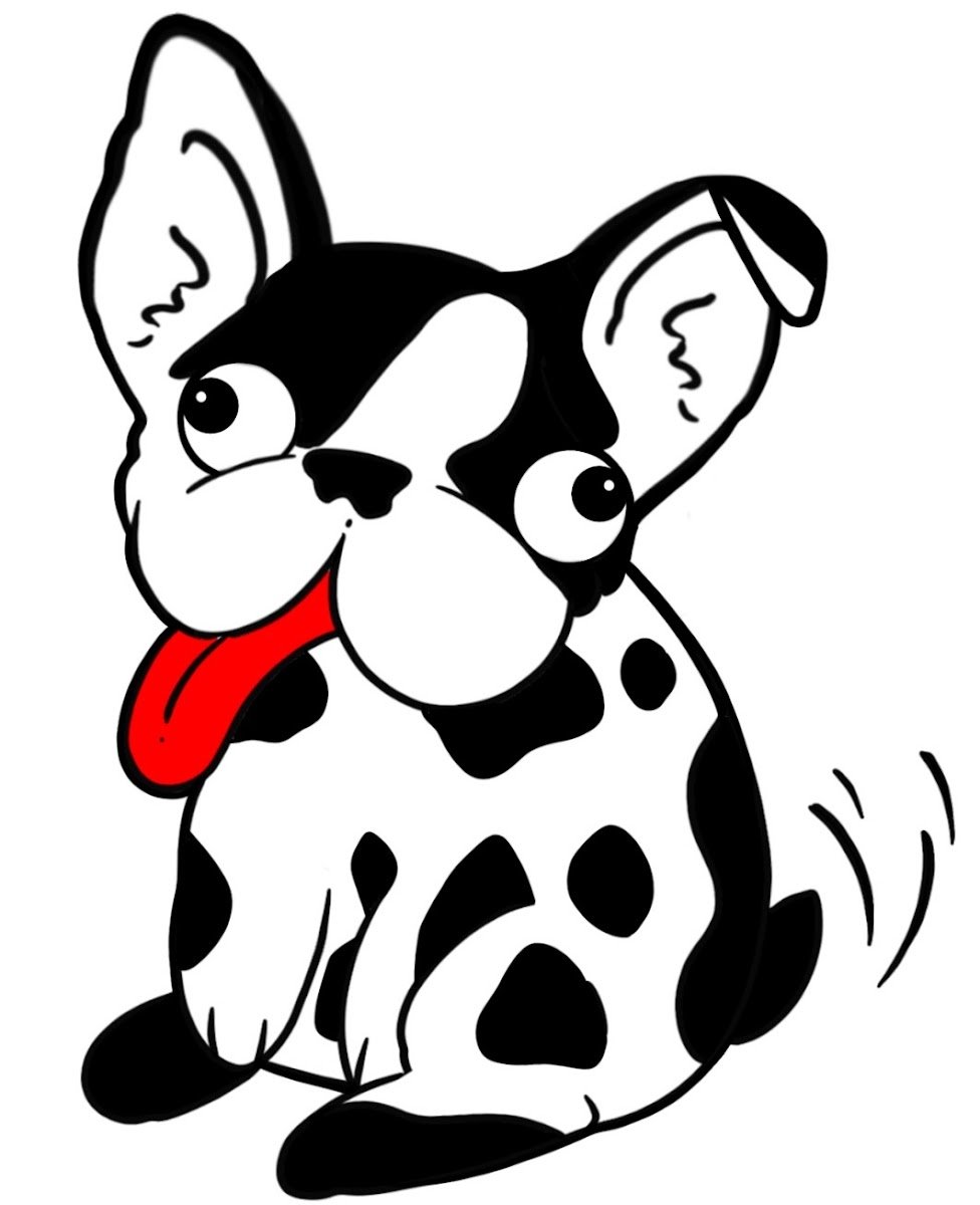Spotty Body Pet Sitting - Photo 3