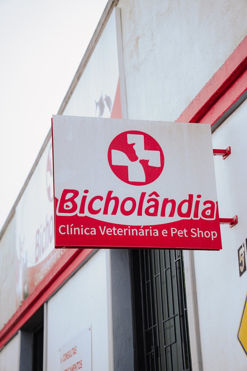 Bichos, Veterinária T - Pet Shop em Santo Ângelo