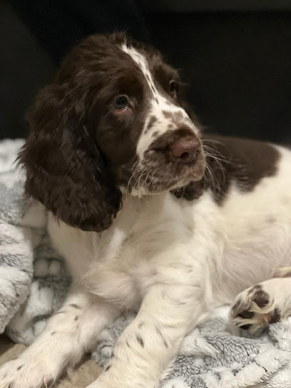 Shannon’s Pet Care