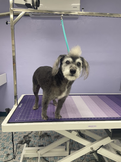 Balboa's Bed & Biscuit