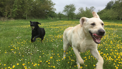 The Pet Nanny-Norfolk
