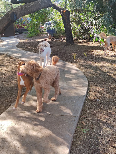 Happy Tail Ranch - Dog Boarding and Care