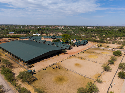 L & L Dressage - Pet Shop in Tucson