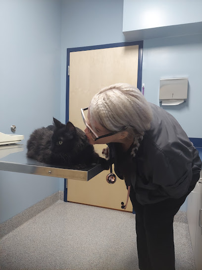 La Vida Animal Hospital