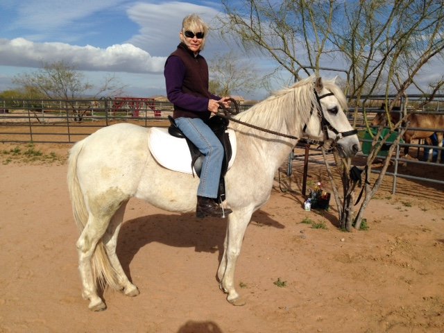Tucson Equestrian Center - Photo 2