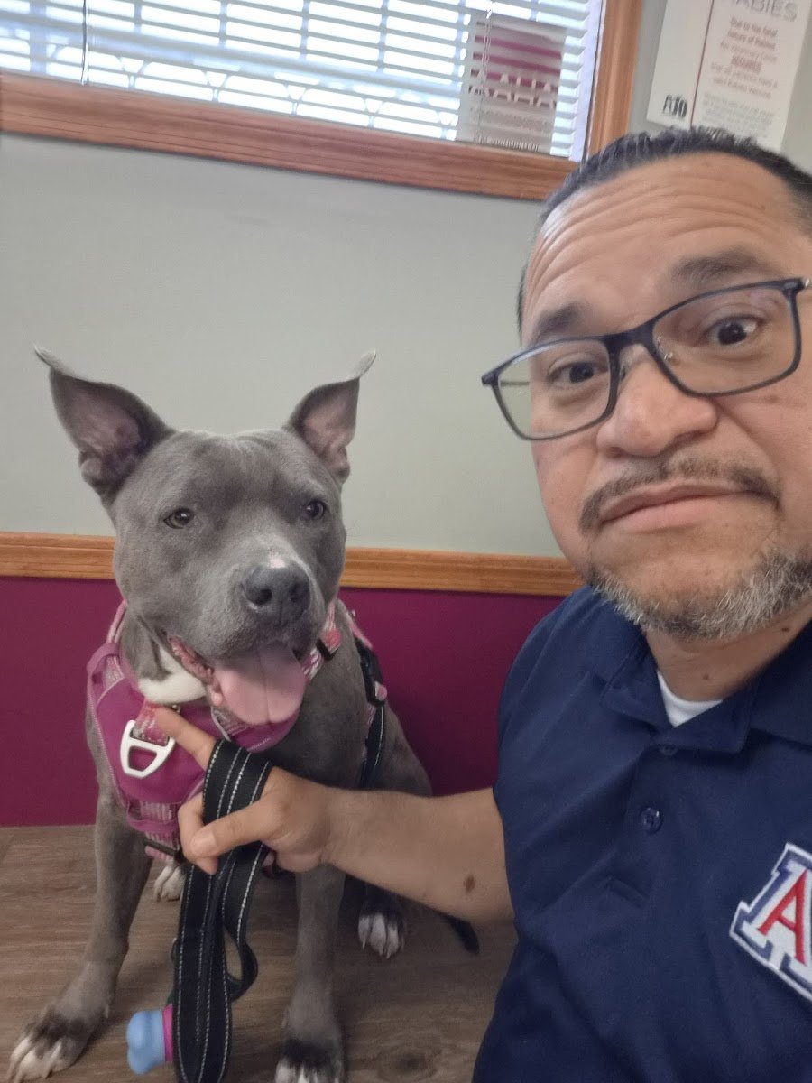 Ajo Veterinary Clinic - Photo 2