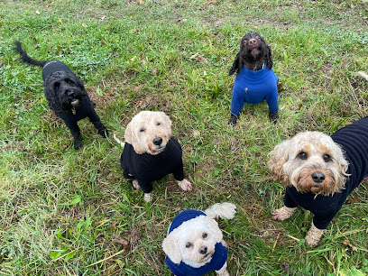 St Albans Dog Walking and Boarding Co