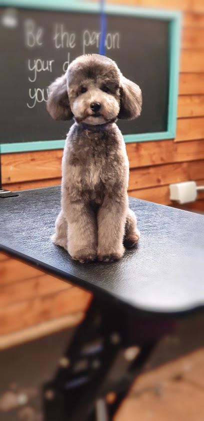 Paws Holistic Spa & Boutique