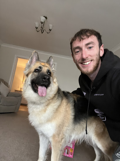 Jamie’s Dog Walking & Boarding Services Luton