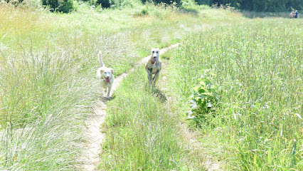 Tempo's Pet and Domestic Services