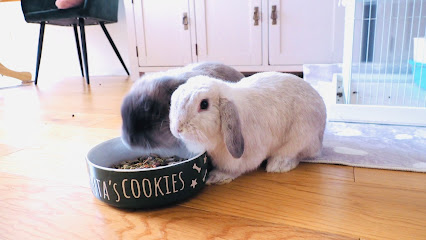 Honeybun’s Bunny Hotel