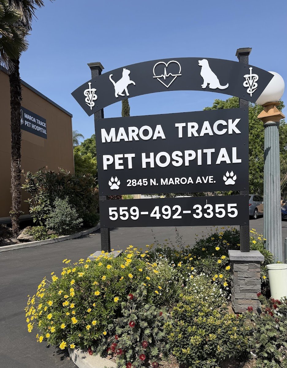 Maroa Track Pet Hospital - Photo 2
