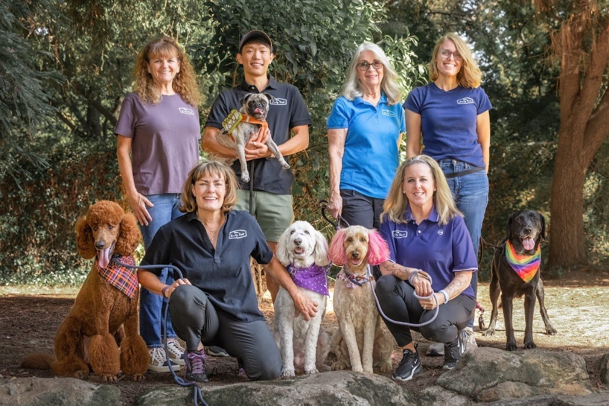 Emily Scott Canine Consulting - Photo 2